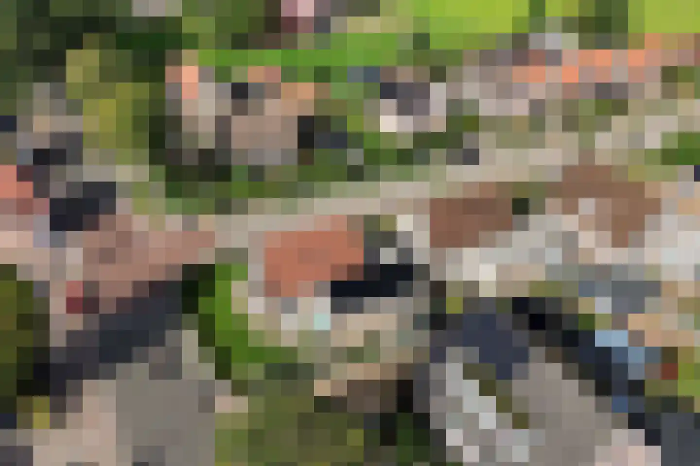 Mr. Harm Smeengeweg 2 Koekange thumbnail 46