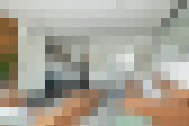 Mr. Harm Smeengeweg 21 Koekange thumbnail 11