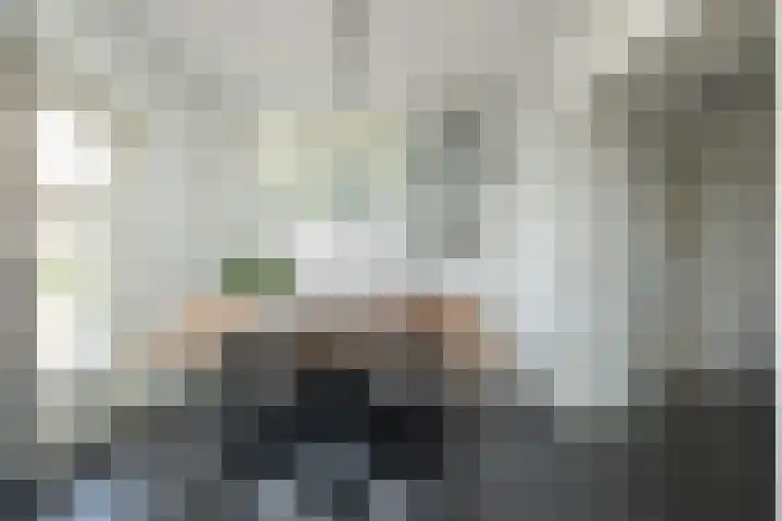 Mr. Harm Smeengeweg 21 Koekange thumbnail 22
