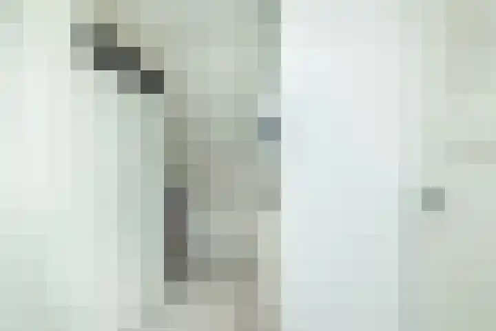 Mr. Harm Smeengeweg 21 Koekange thumbnail 41