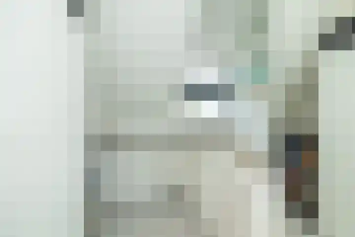 Mr. Harm Smeengeweg 21 Koekange thumbnail 42