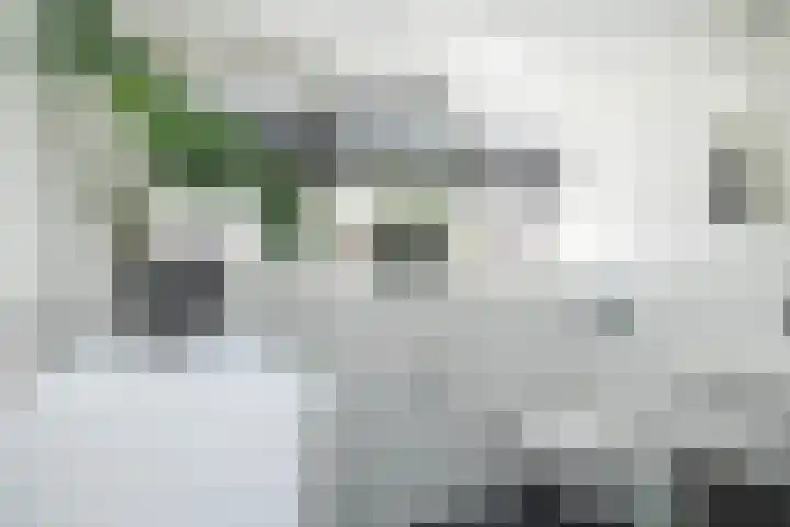 Mr. Harm Smeengeweg 21 Koekange thumbnail 44
