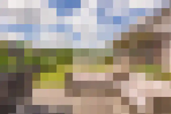 Mr. Harm Smeengeweg 21 Koekange thumbnail 47
