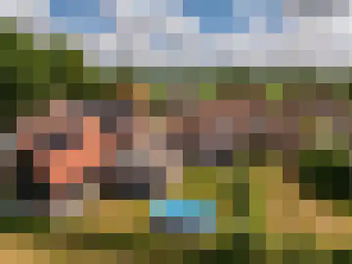Mr. Harm Smeengeweg 21 Koekange thumbnail 49