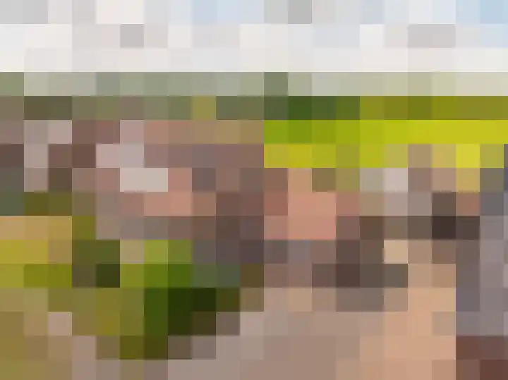 Mr. Harm Smeengeweg 21 Koekange thumbnail 5