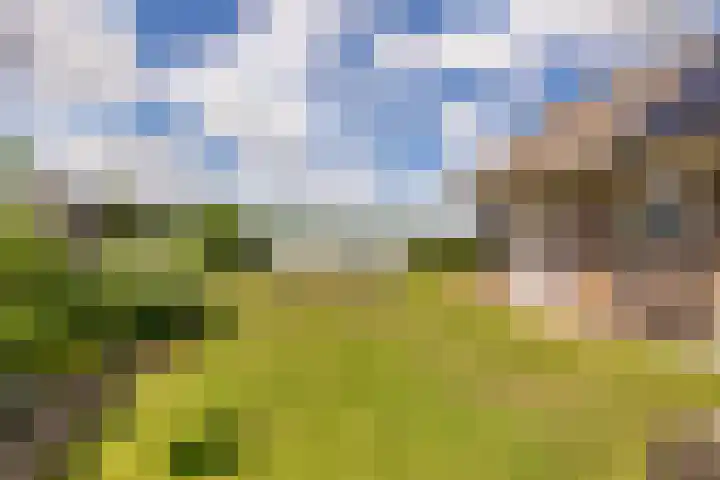 Mr. Harm Smeengeweg 21 Koekange thumbnail 51