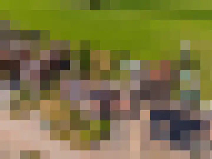Mr. Harm Smeengeweg 21 Koekange thumbnail 55