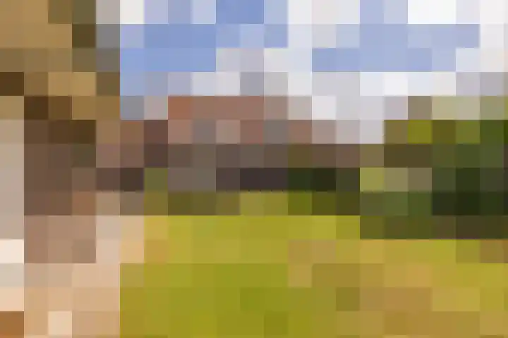 Mr. Harm Smeengeweg 21 Koekange thumbnail 56