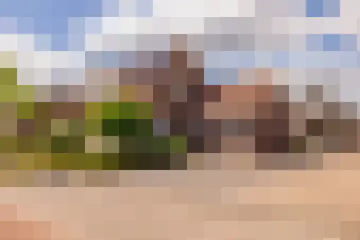 Mr. Harm Smeengeweg 21 Koekange thumbnail 58