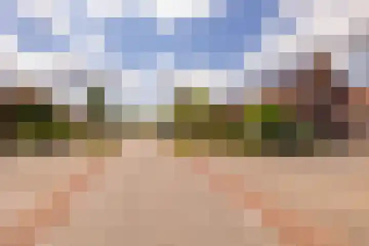 Mr. Harm Smeengeweg 21 Koekange thumbnail 59