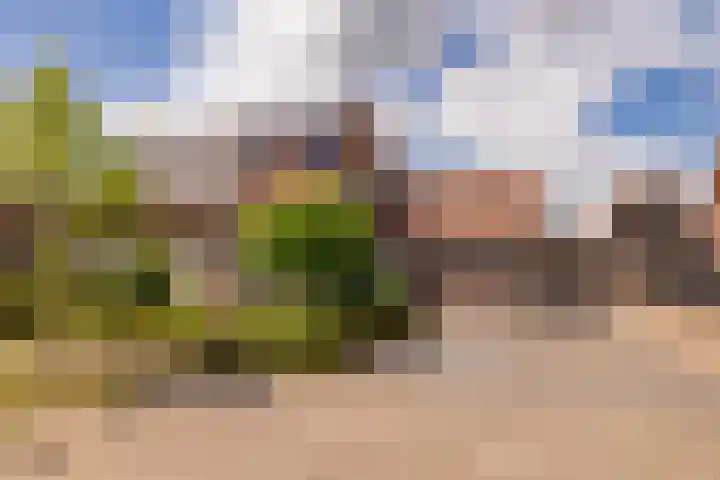 Mr. Harm Smeengeweg 21 Koekange thumbnail 6