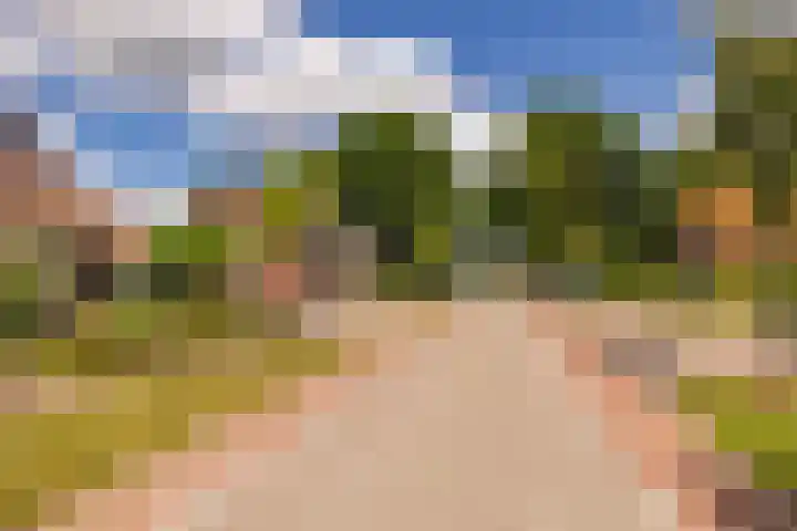 Mr. Harm Smeengeweg 21 Koekange thumbnail 60