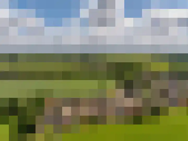 Mr. Harm Smeengeweg 21 Koekange thumbnail 61