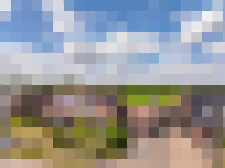 Mr. Harm Smeengeweg 21 Koekange thumbnail 62