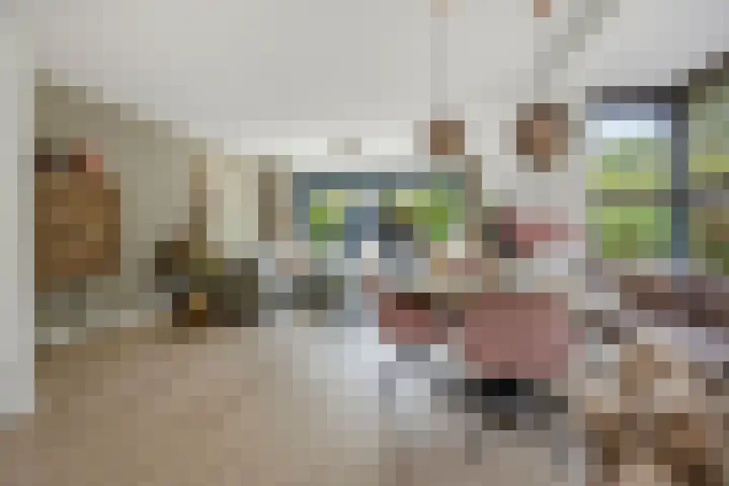 Mr. Harry Hollalaan 29 Vught thumbnail 14