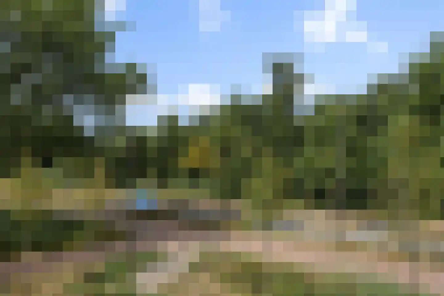 Mr. Harry Hollalaan 29 Vught thumbnail 30
