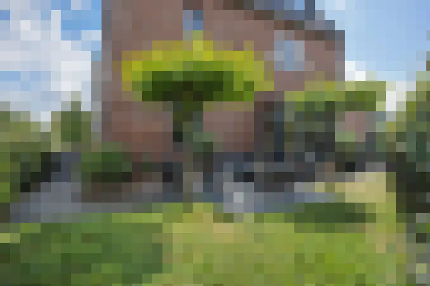 Mr. Harry Hollalaan 29 Vught thumbnail 48