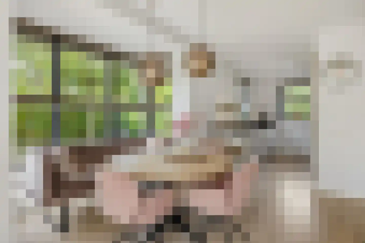 Mr. Harry Hollalaan 29 Vught thumbnail 9