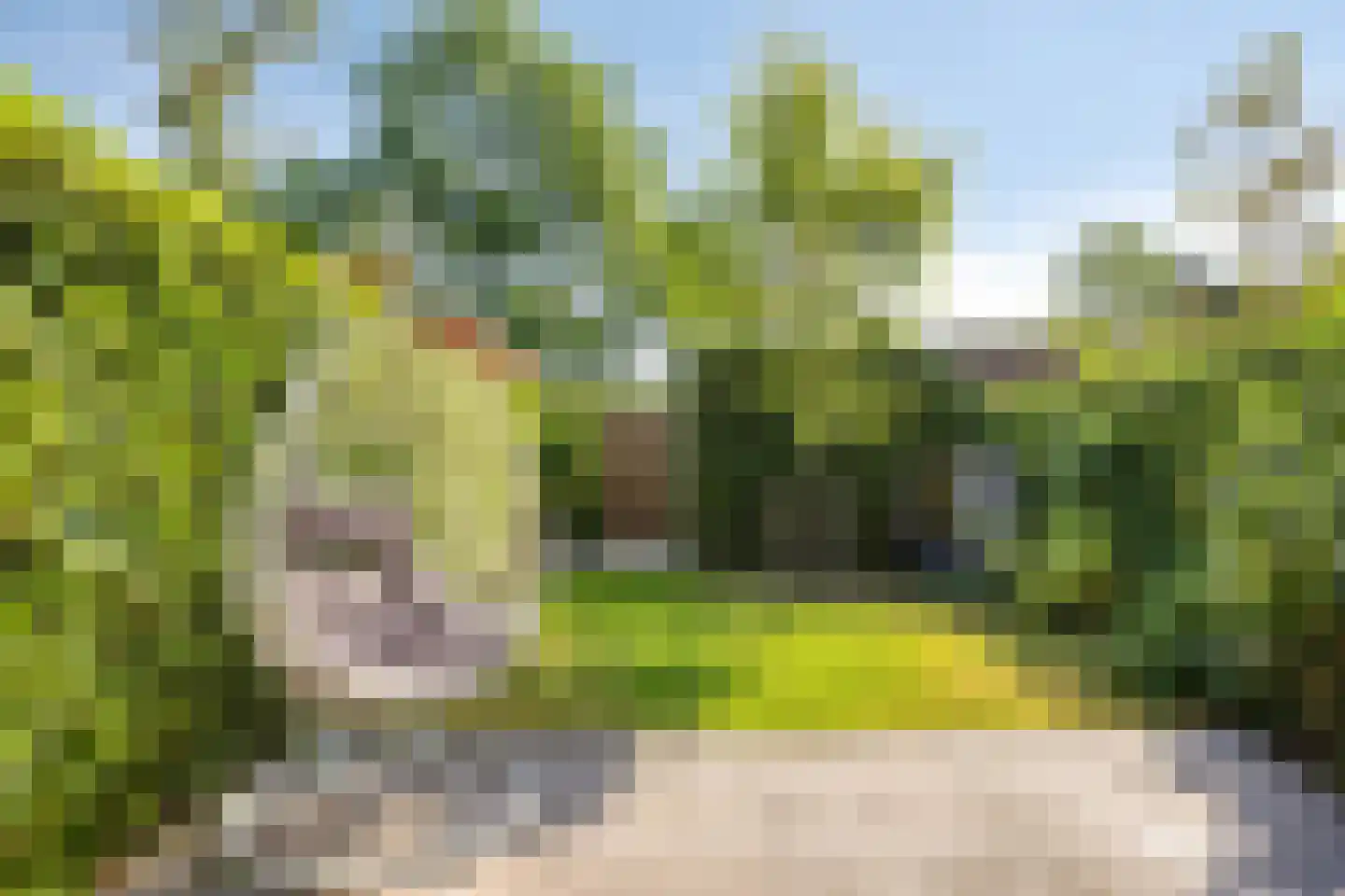 Mr. Harry Hollalaan 5 Vught thumbnail 47