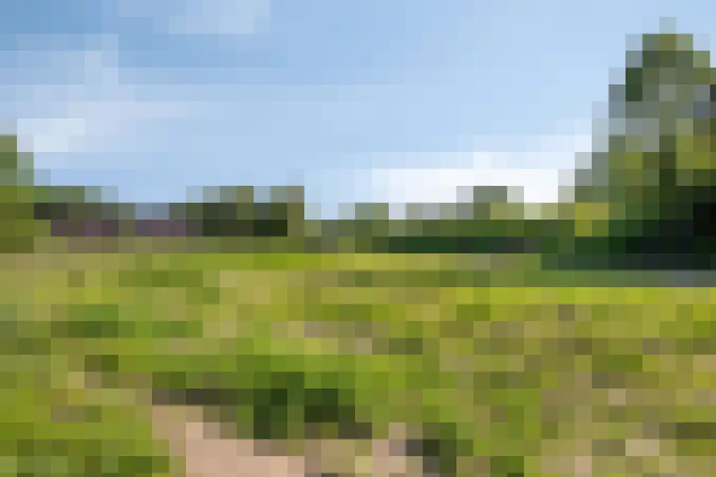 Mr. Harry Hollalaan 5 Vught thumbnail 61