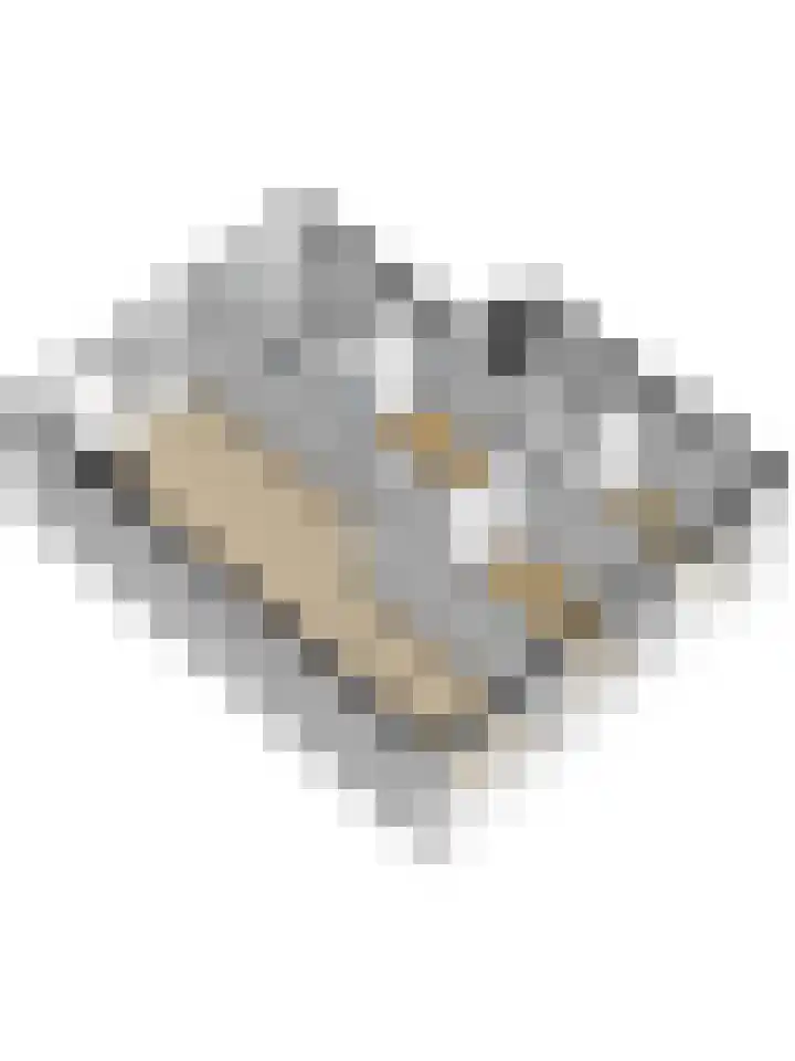 Mr. Heemskerkstraat 6 Ridderkerk thumbnail 34