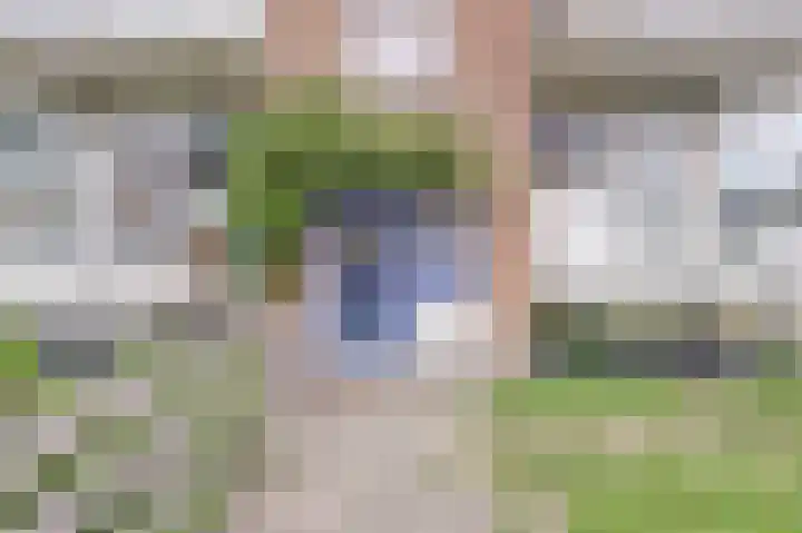 Mr. Heemskerkstraat 6 Ridderkerk thumbnail 6