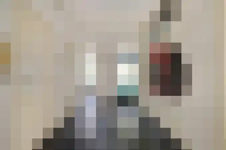 Mr. Heemskerkstraat 6 Ridderkerk thumbnail 8