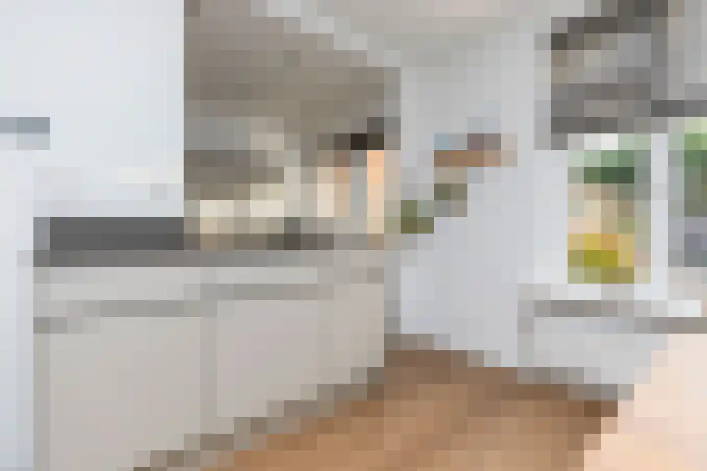 Mr. Heemskerkstraat 84 Ridderkerk thumbnail 17