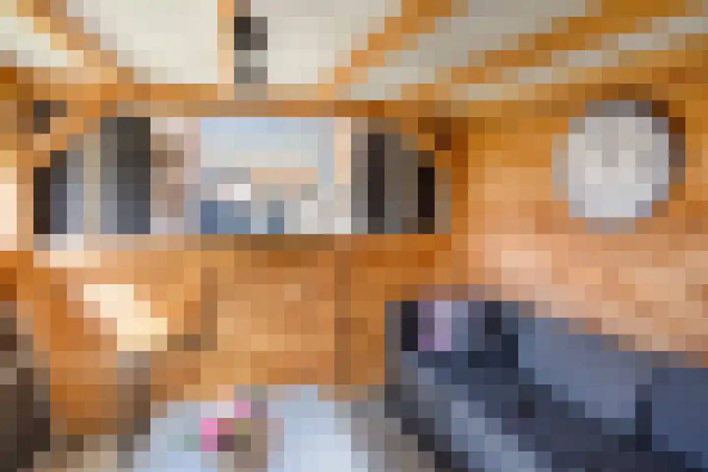 Mr. Heemskerkstraat 9 Veenendaal thumbnail 32