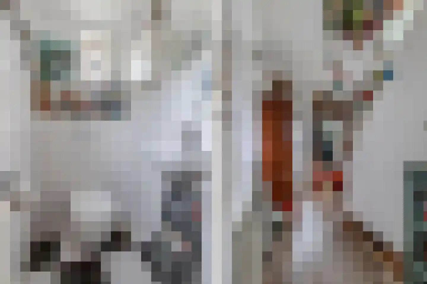 Mr. Hillebrand Tuttelstraat 1 Steenwijk thumbnail 10