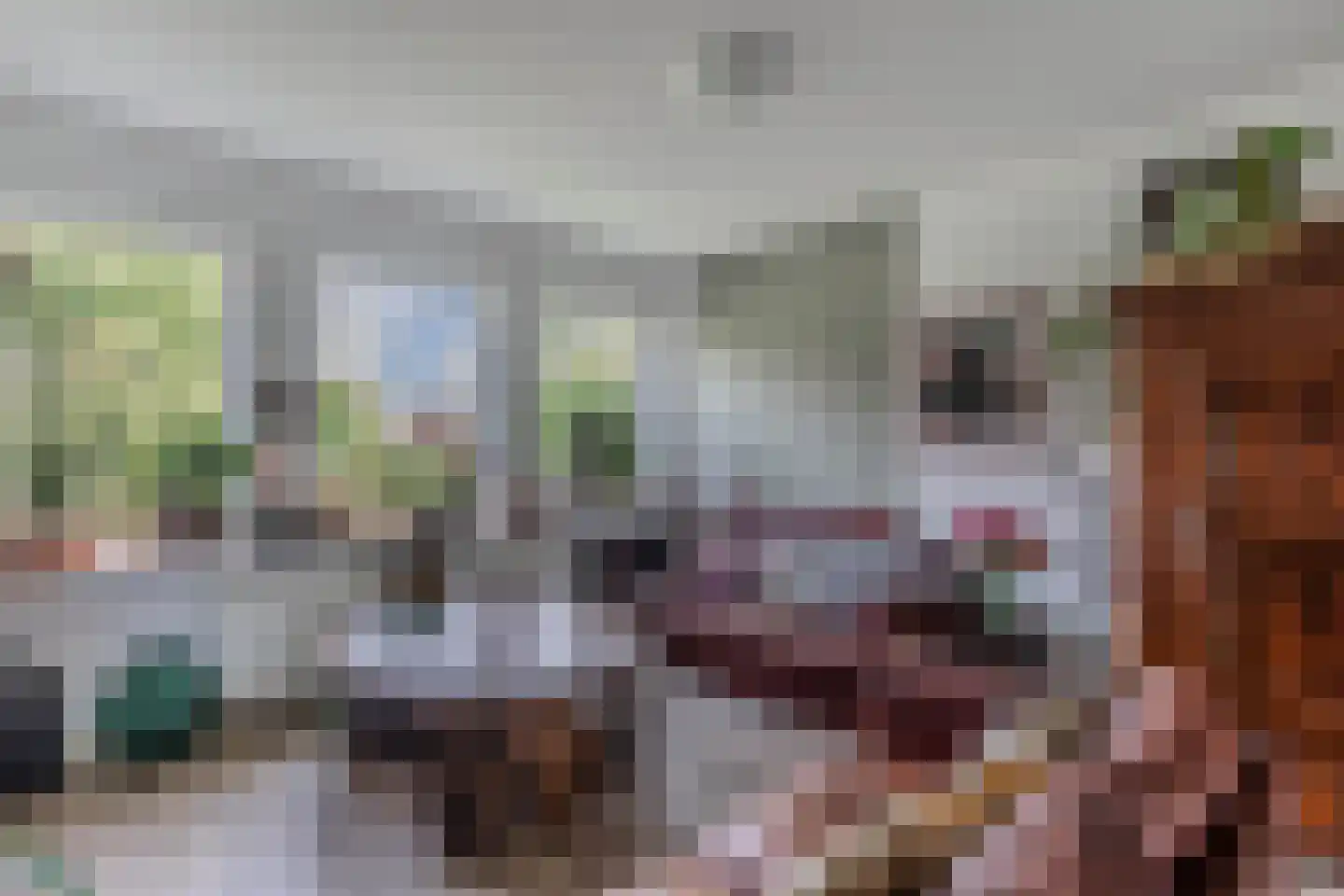Mr. Hillebrand Tuttelstraat 1 Steenwijk thumbnail 12