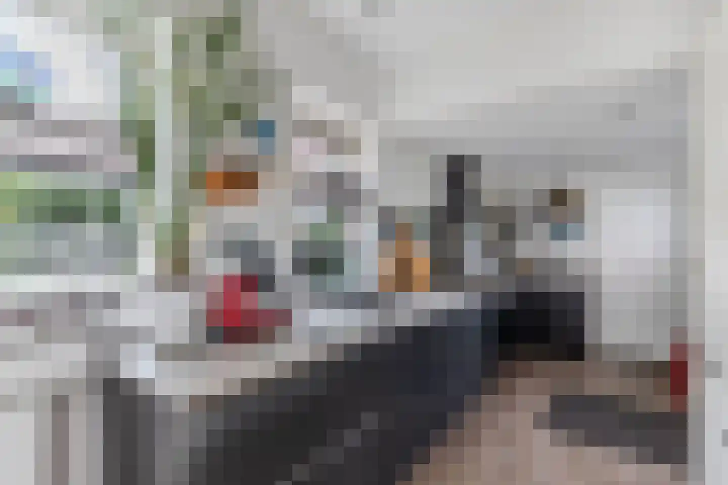 Mr. Hillebrand Tuttelstraat 1 Steenwijk thumbnail 17