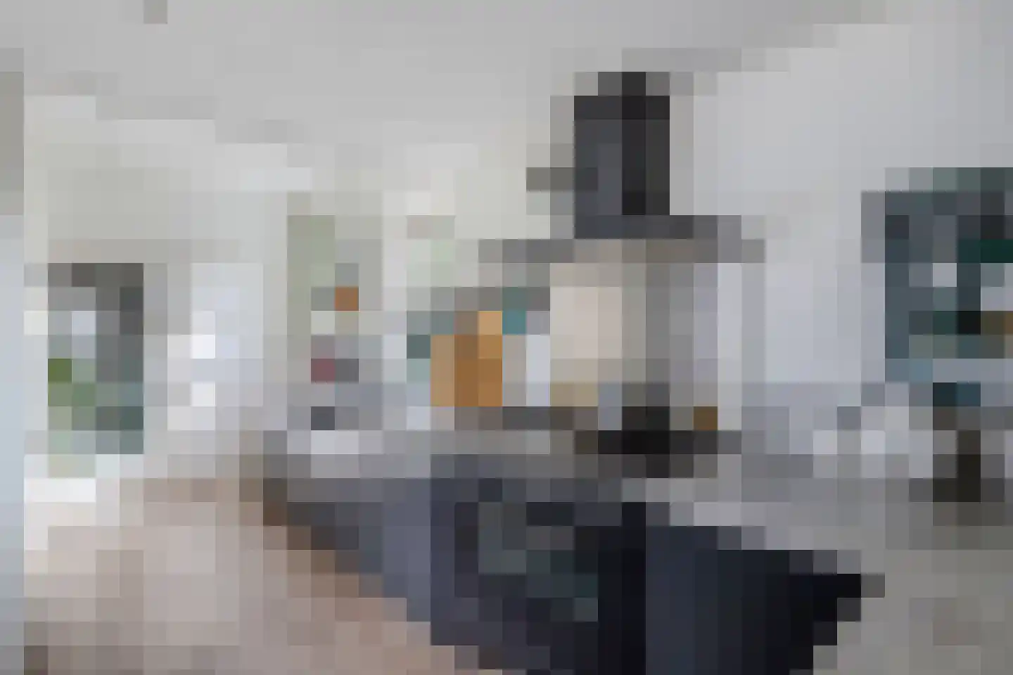 Mr. Hillebrand Tuttelstraat 1 Steenwijk thumbnail 18