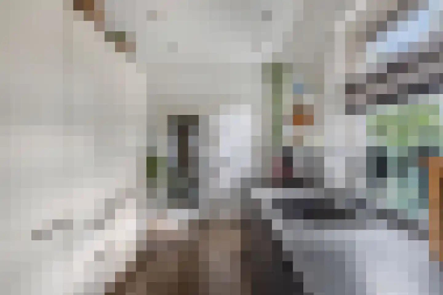Mr. Hillebrand Tuttelstraat 1 Steenwijk thumbnail 20