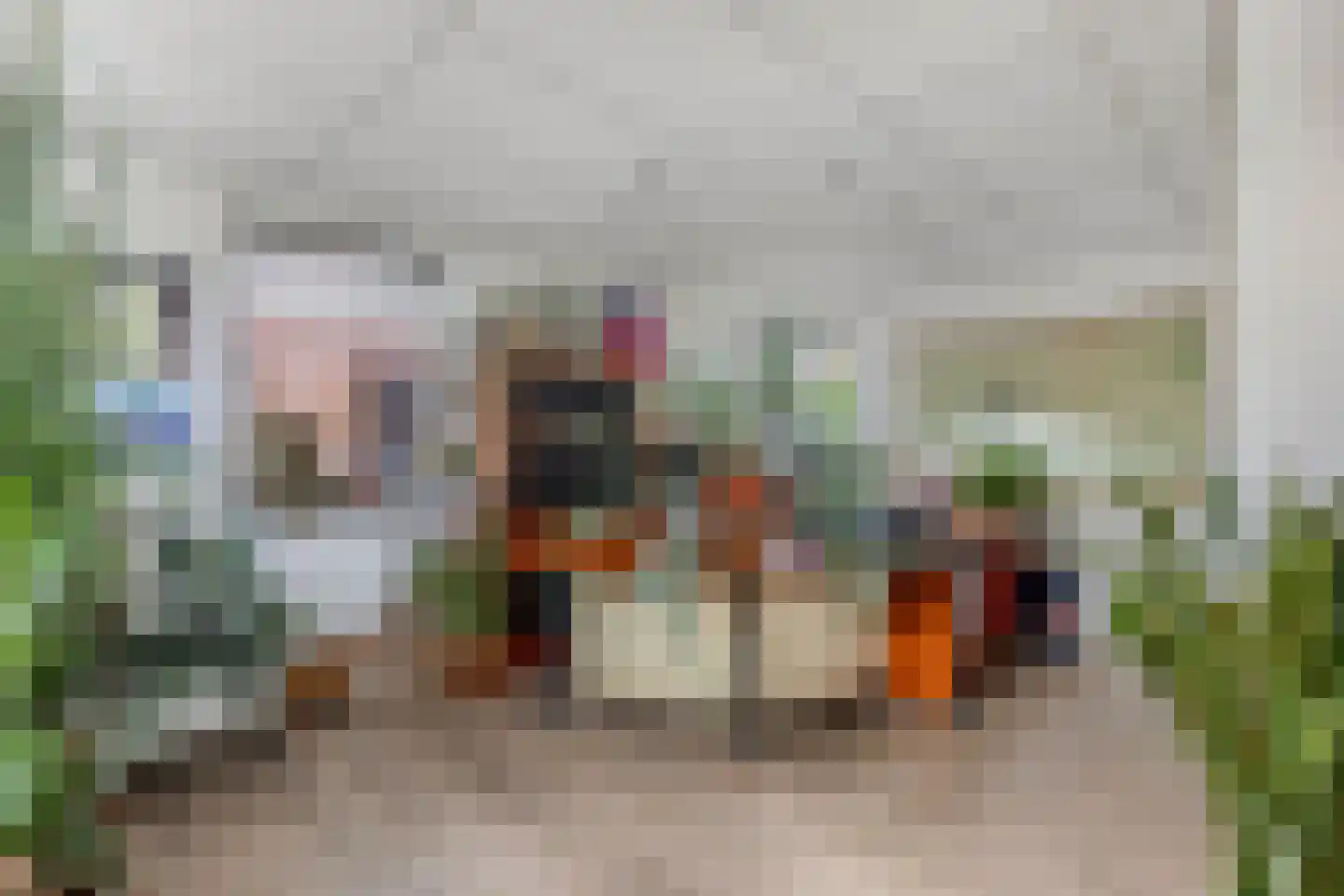 Mr. Hillebrand Tuttelstraat 1 Steenwijk thumbnail 21