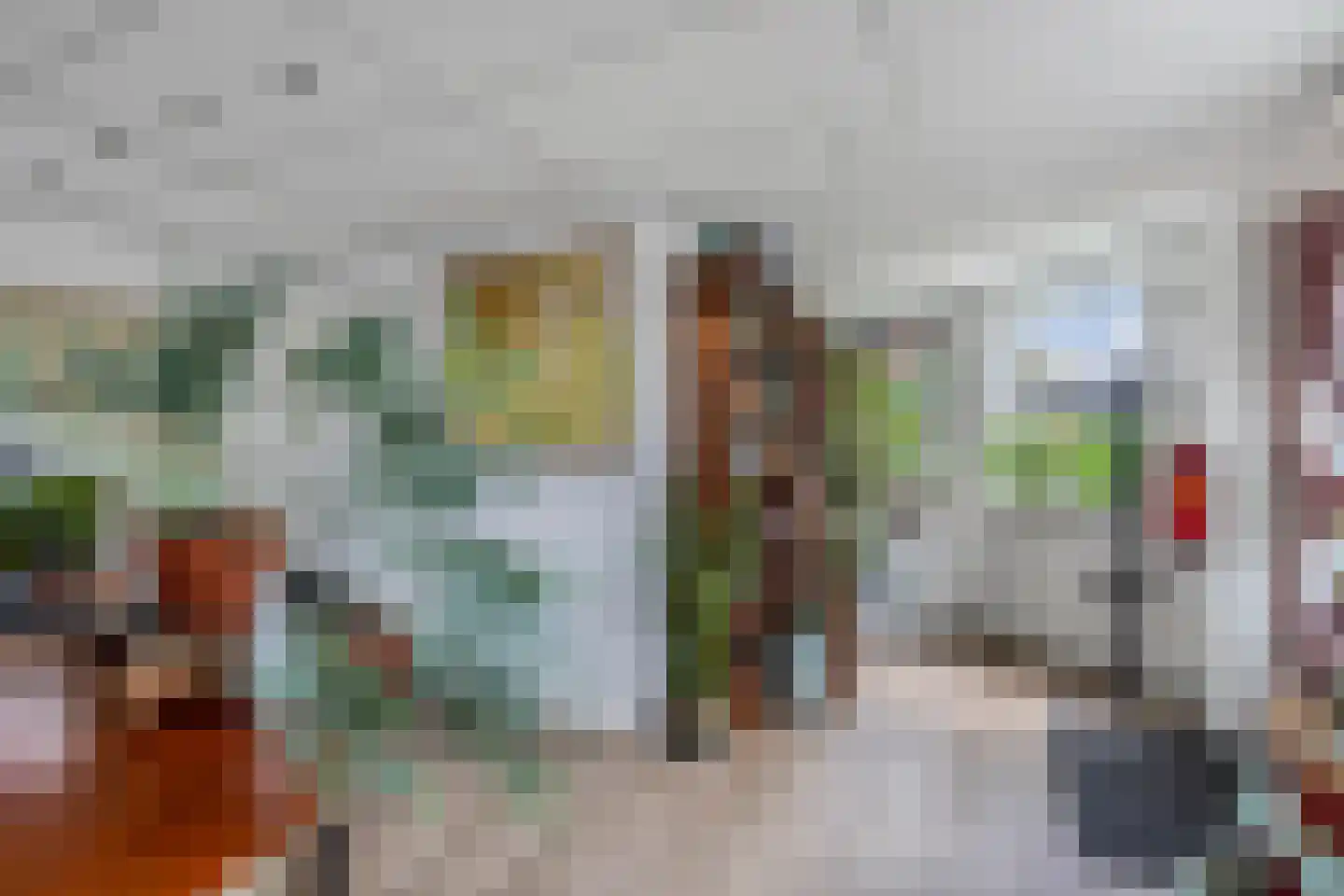 Mr. Hillebrand Tuttelstraat 1 Steenwijk thumbnail 23
