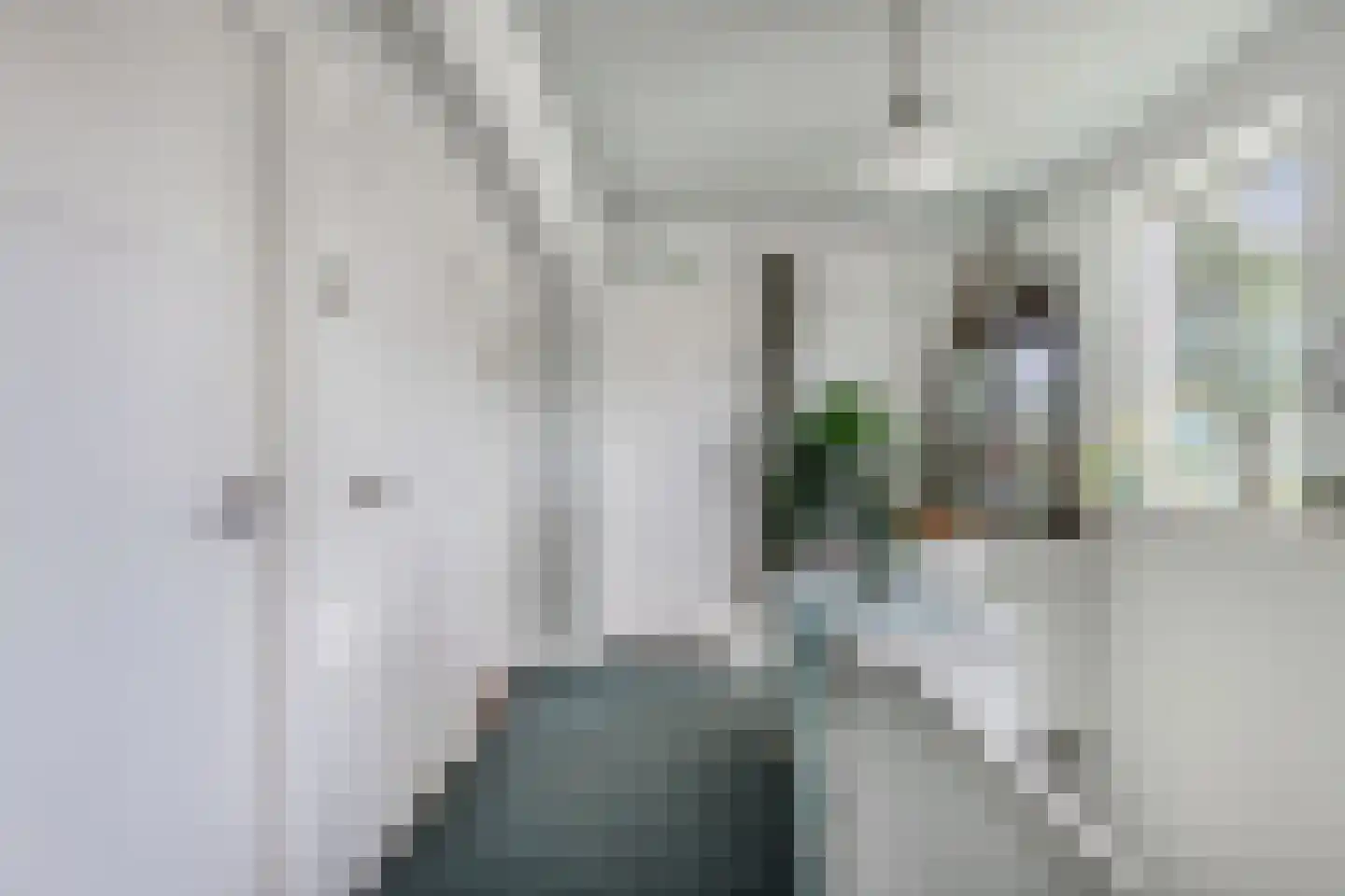 Mr. Hillebrand Tuttelstraat 1 Steenwijk thumbnail 27