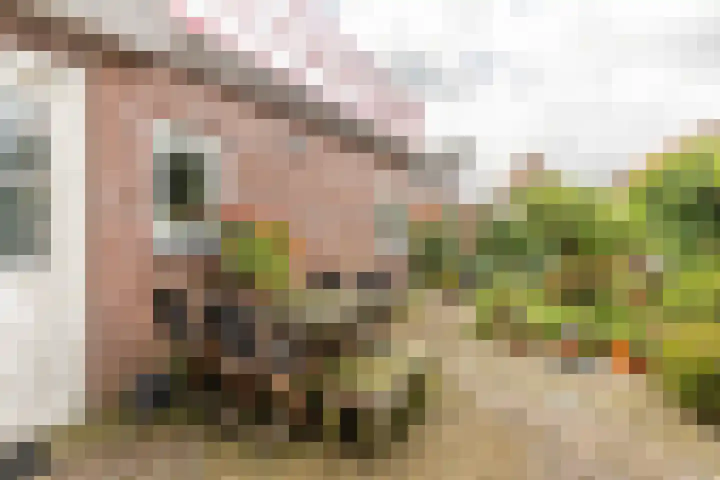 Mr. Hillebrand Tuttelstraat 1 Steenwijk thumbnail 38