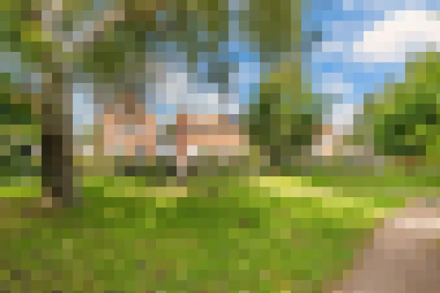 Mr. Hillebrand Tuttelstraat 1 Steenwijk thumbnail 47