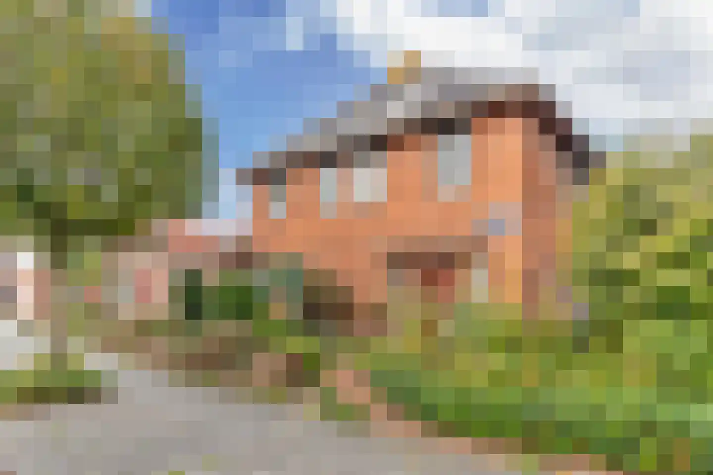 Mr. Hillebrand Tuttelstraat 1 Steenwijk thumbnail 49