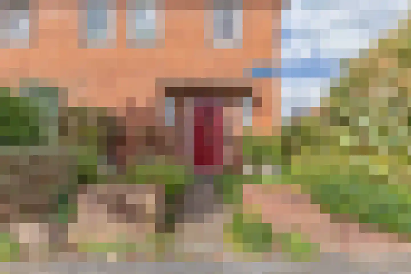Mr. Hillebrand Tuttelstraat 1 Steenwijk thumbnail 6