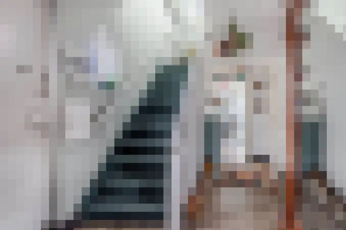 Mr. Hillebrand Tuttelstraat 1 Steenwijk thumbnail 7