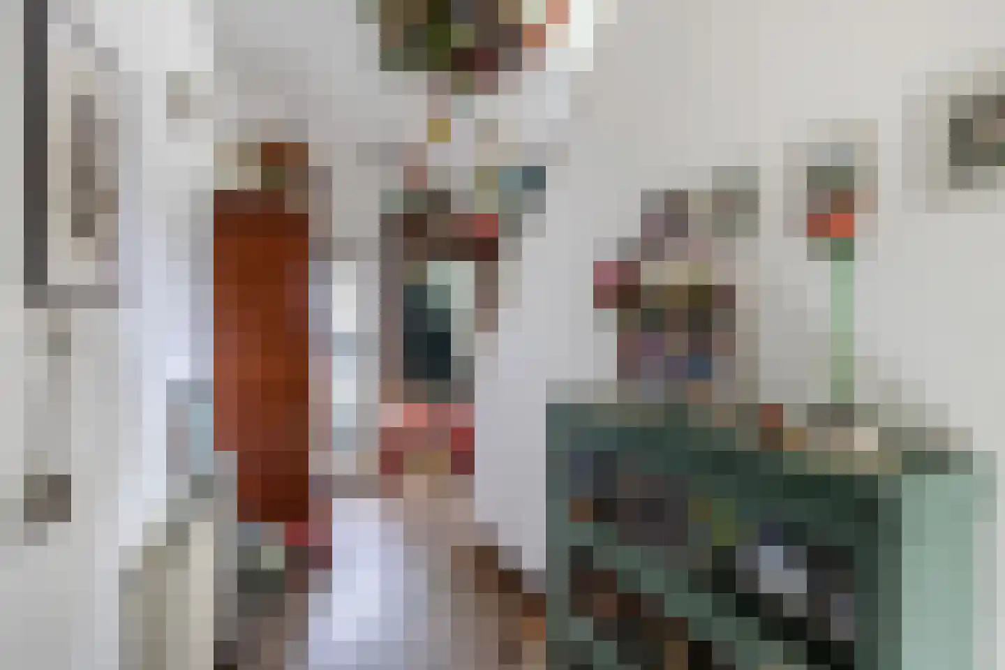 Mr. Hillebrand Tuttelstraat 1 Steenwijk thumbnail 8
