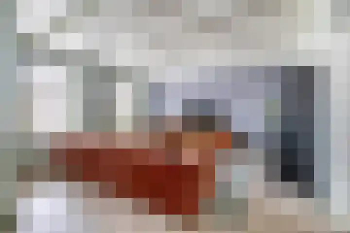 Mr Iman Caustraat 7 Stellendam thumbnail 10