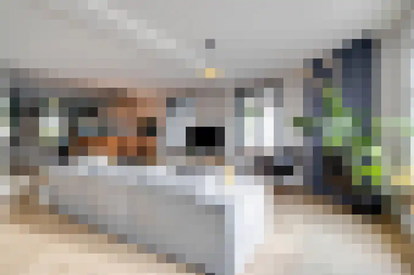 Mr Iman Caustraat 83 Stellendam thumbnail 8