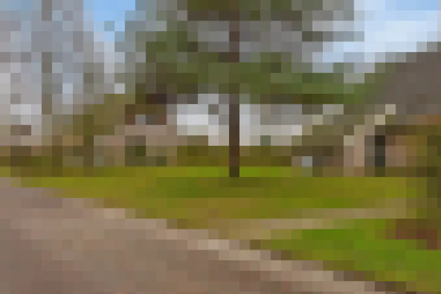 Mr. J.B. Kanweg 3 136 Witteveen thumbnail 5