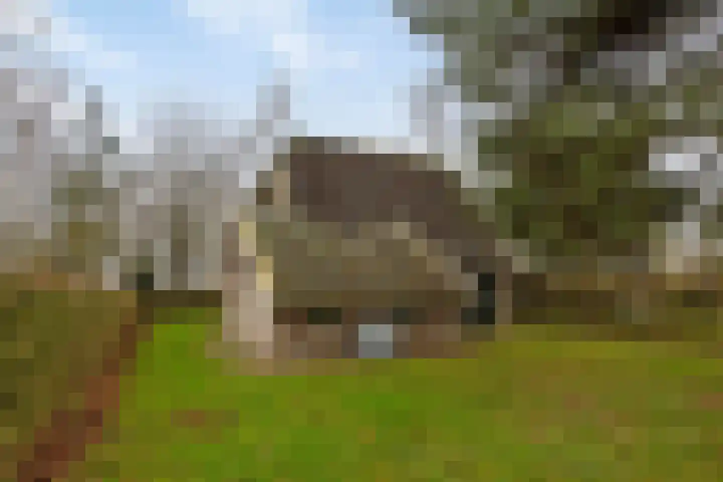 Mr. J.B. Kanweg 3 136 Witteveen thumbnail 7
