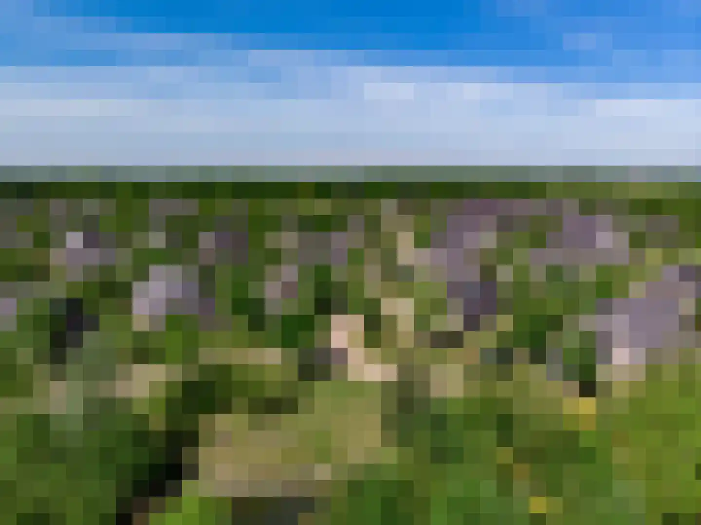 Mr. J.B. Kanweg 3 340 Witteveen thumbnail 32