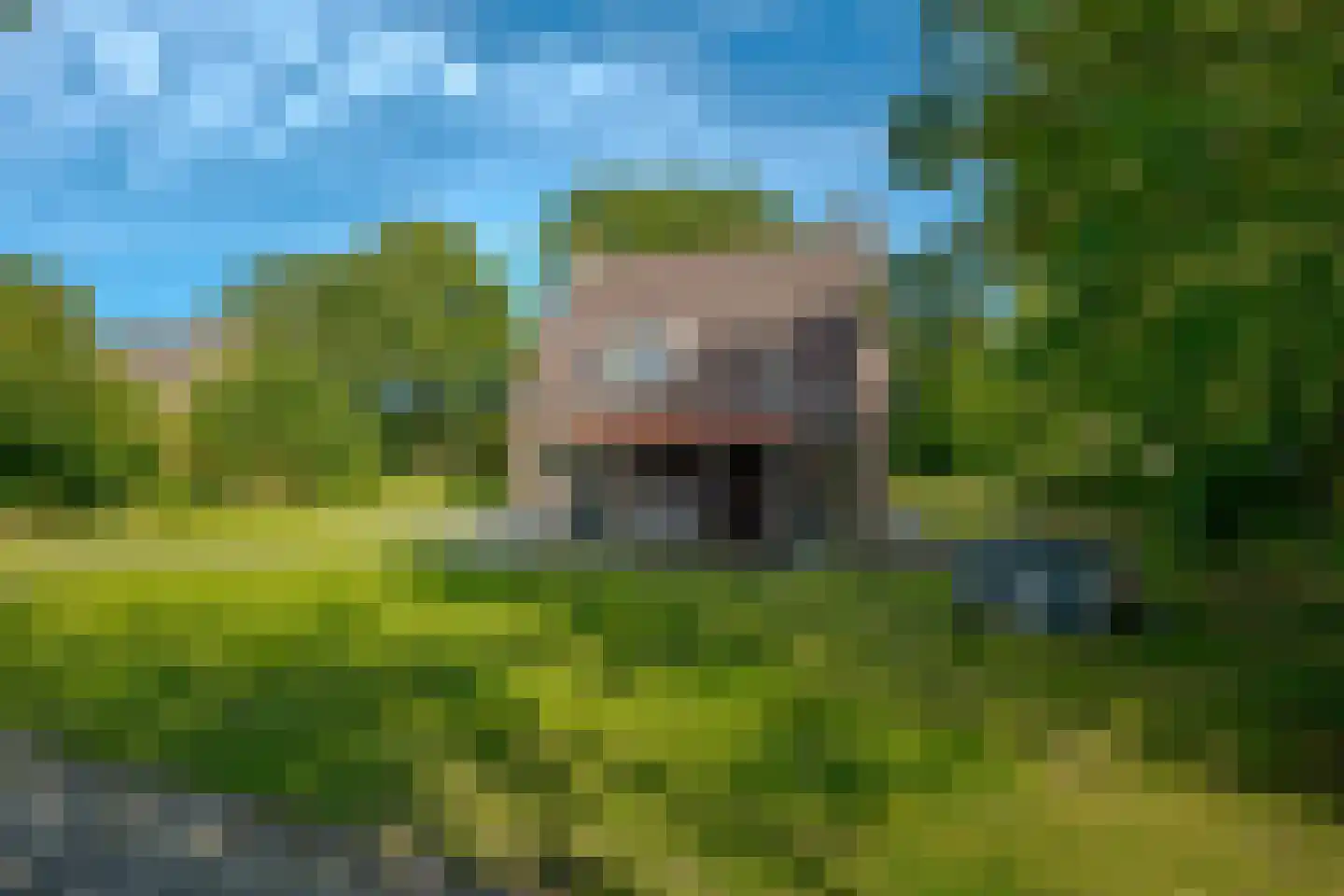 Mr. J.B. Kanweg 39 Witteveen thumbnail 33