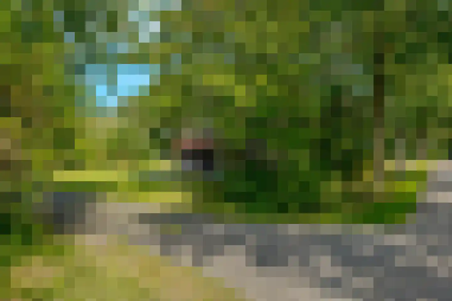Mr. J.B. Kanweg 39 Witteveen thumbnail 39